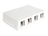 Delock Keystone Surface Mounted Box - Gehäuse