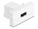 Delock Easy 45 - Einrastmodul - USB - einfach