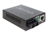 Delock Medienkonverter - 100Mb LAN - 10Base-T