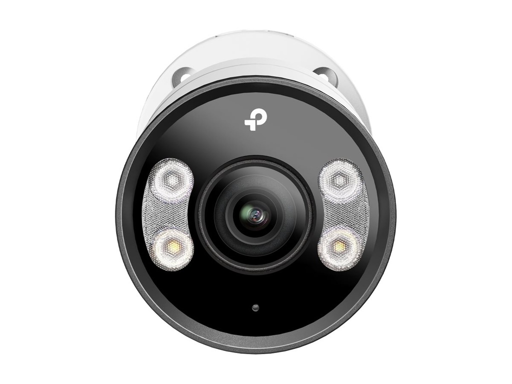 TP-LINK VIGI InSight S385 V1 - Netzwerk-Überwachungskamera - schwenken / neigen - Kugel - Außenbereich - wetterfest - Farbe (Tag&Nacht)