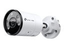 TP-LINK VIGI InSight S355 V1 - Netzwerk-Überwachungskamera - Kugel - Außenbereich - wasserfest - Farbe (Tag&Nacht)