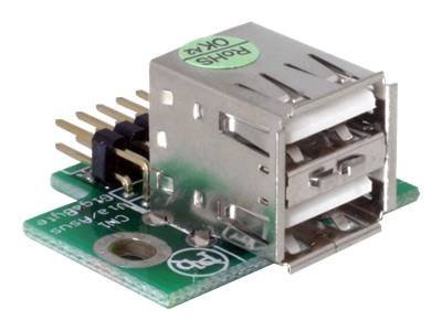 Delock USB-Adapter - 10-poliger USB-Header (M)