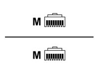 HP HPE - Netzwerkkabel - RJ-45 (M) zu RJ-45 (M)