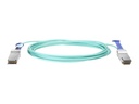 HPE Active Optical Cable - 100GBase Direktanschlusskabel