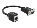 Delock Serieller Adapter - DB-9 (M) zu RJ-45 (W)