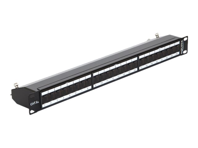 Delock Patch Panel - CAT 6a - RJ-45 X 24 - Jet Black, RAL 9005 - 1U - 48.3 cm (19")