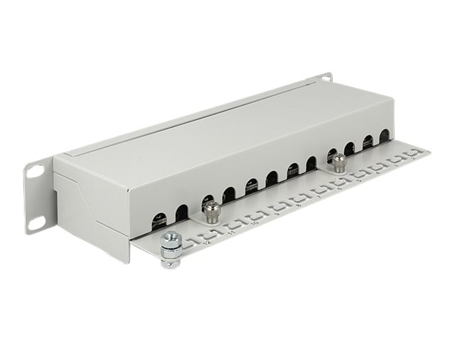 Delock Patch Panel - CAT 6a - RJ-45 X 12 - Hellgrau, RAL 7035 - 1U - 25.4 cm (10")