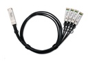 ZyXEL 100GBase-AOC Direktanschlusskabel - QSFP28 zu SFP28
