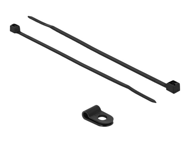 Delock Kabelbinder-Kit - 10 cm - Schwarz