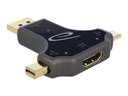 Delock Videoadapter - 24 pin USB-C, Mini DisplayPort, DisplayPort männlich zu HDMI weiblich