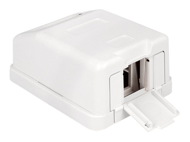 Delock Keystone Surface Mounted Box - Gehäuse