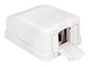 Delock Keystone Surface Mounted Box - Gehäuse