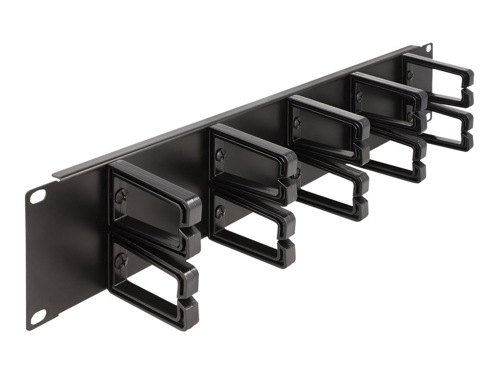 Delock Verlegetafel für Rack-Kabelmanagement - mit 10 Kunststoffhaken - Schwarz - 2U - 48.3 cm (19")