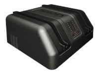 B-Ware: GETAC Dual bay - Batterieladegerät - Ausgangsanschlüsse: 2