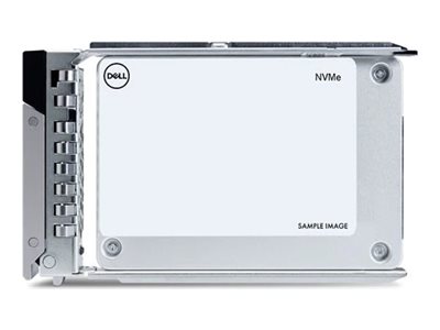 Dell  Kunden-Kit - SSD - Rechenzentrum, Leseintensiv - 960 GB - mit Träger - 2.5" (6.4 cm)