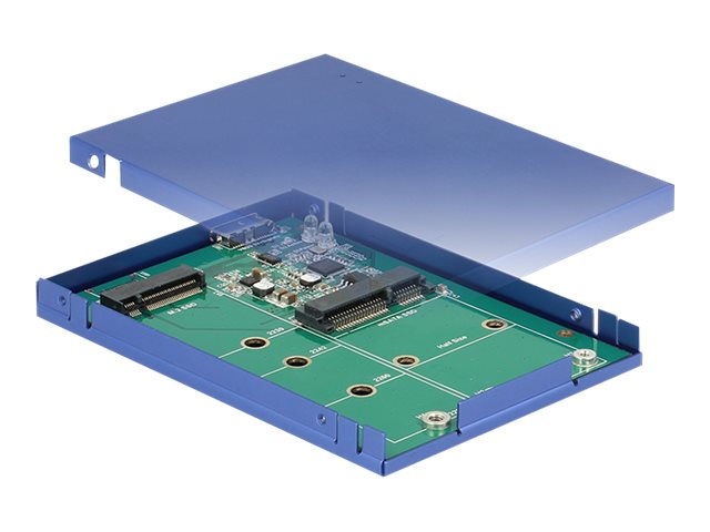 Delock Speichergehäuse - M.2 Card / mSATA - USB 3.1 (Gen 2)