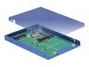 Delock Speichergehäuse - M.2 Card / mSATA - USB 3.1 (Gen 2)