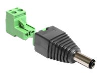 Delock Adapter DC 2.1 x 5.5 mm male > Terminal Block - Netzteil - 2-polige Klemmleiste (M)