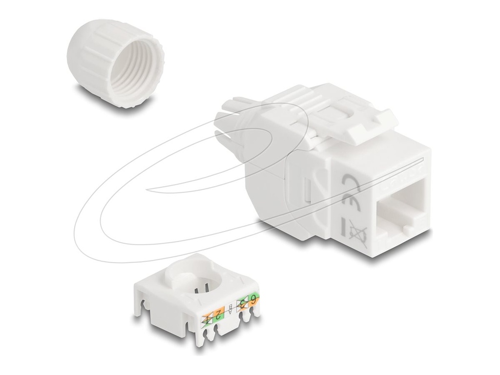 Delock Netzwerkanschluss - RJ-45 (W) zu LSA