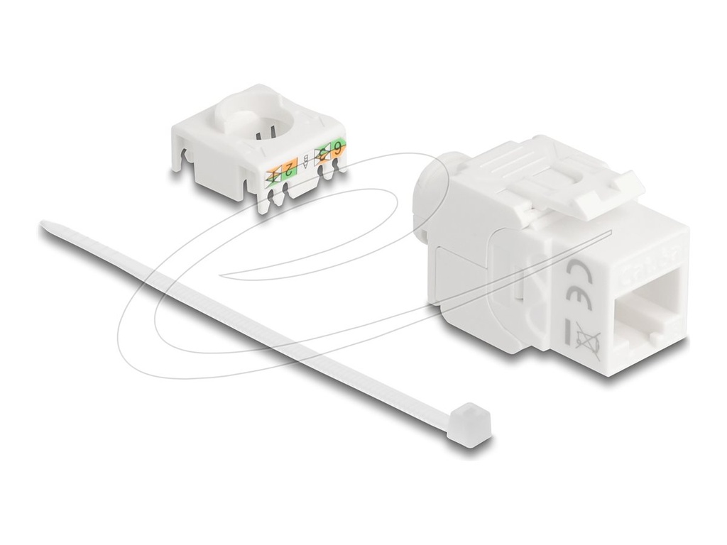 Delock Modulare Eingabe - 180°, werkzeugfrei