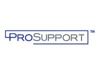 Netgear ProSupport XPressHW Category 1 - Serviceerweiterung