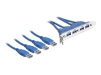 Delock Slot bracket - USB-Konsole - USB Typ A (M)