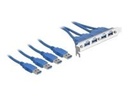 Delock Slot bracket - USB-Konsole - USB Typ A (M)