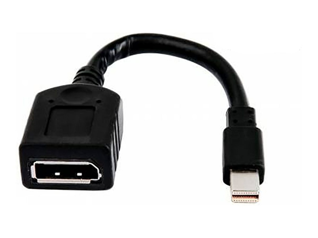 HP  DisplayPort-Adapter - Mini DisplayPort (M)