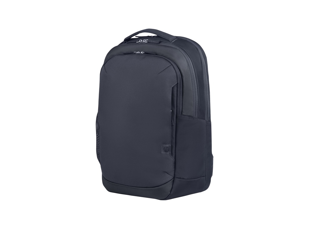 HP Everyday - Notebook-Rucksack - 40.9 cm (16.1")