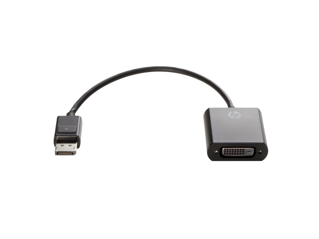 HP  DisplayPort-Adapter - Single Link - DisplayPort (M)