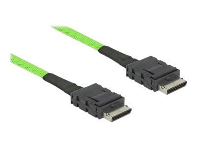 Delock OCuLink - Internes SAS-Kabel - OCuLink (SFF-8611)
