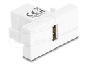 Delock Easy 45 - Einrastmodul - USB 2.0 - USB