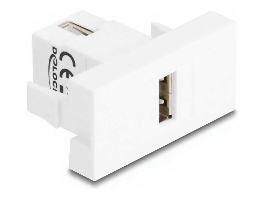 Delock Easy 45 - Einrastmodul - USB 2.0, female