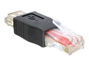 Delock USB-Adapter - RJ-45 (M) zu USB (W)