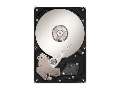 Seagate DB35.3 Series ST3250820SCE - Festplatte - 250 GB - intern - 3.5" (8.9 cm)