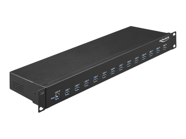 [64039] Delock Hub - 13 x USB 3.1 Gen 1 - an Rack montierbar