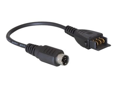 Delock HPC-F4809 - Adapter für Power Connector
