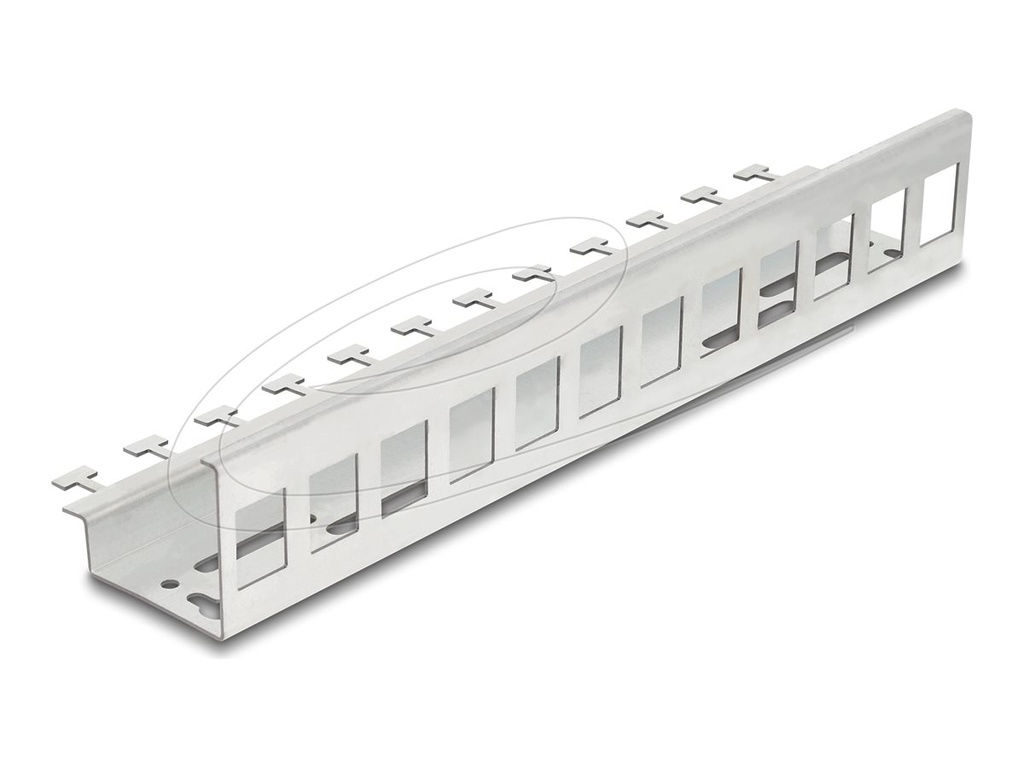 Delock Keystone-Adapter - Metall - DIN schienenmontierbar