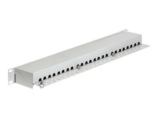 Delock Patch Panel - CAT 6 - RJ-45 X 24 - Hellgrau - 1U - 48.3 cm (19")