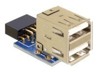 Delock USB-Adapter (W) zu USB (W)
