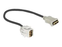 Delock Keystone Module HDMI female > HDMI female