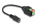 Delock Netzteil - 2-polige Klemmleiste zu Gleichstromstecker 5,5 x 2,1 mm (W)
