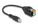Delock Audio-Adapter - 2-polige Klemmleiste
