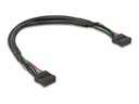 Delock USB-Kabel - 10-poliger USB-Header (W)