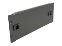 Delock Rack-Blindabdeckungsplatte - Schwarz - 2U - 25.4 cm (10")