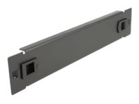 Delock Rack-Blindabdeckungsplatte - Schwarz - 1U - 25.4 cm (10")