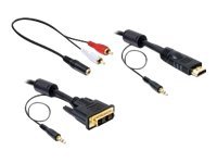 Delock Video-/Audio-Kabelkit