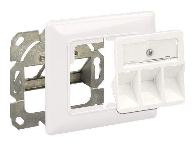 Delock Keystone Wall Outlet - Wanddose - Pure White, RAL 9010