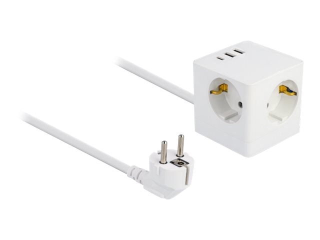 Delock Netzteil - 17 Watt - 3.4 A - 6 Ausgabeanschlussstellen (2 x USB, USB-C, 3 x Stecker CEE 7/3)