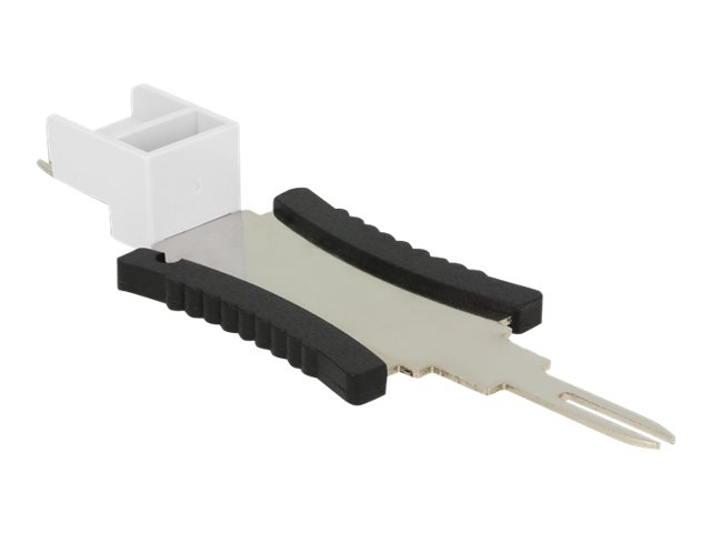 Delock Anschlussentriegelungs-Schlüssel